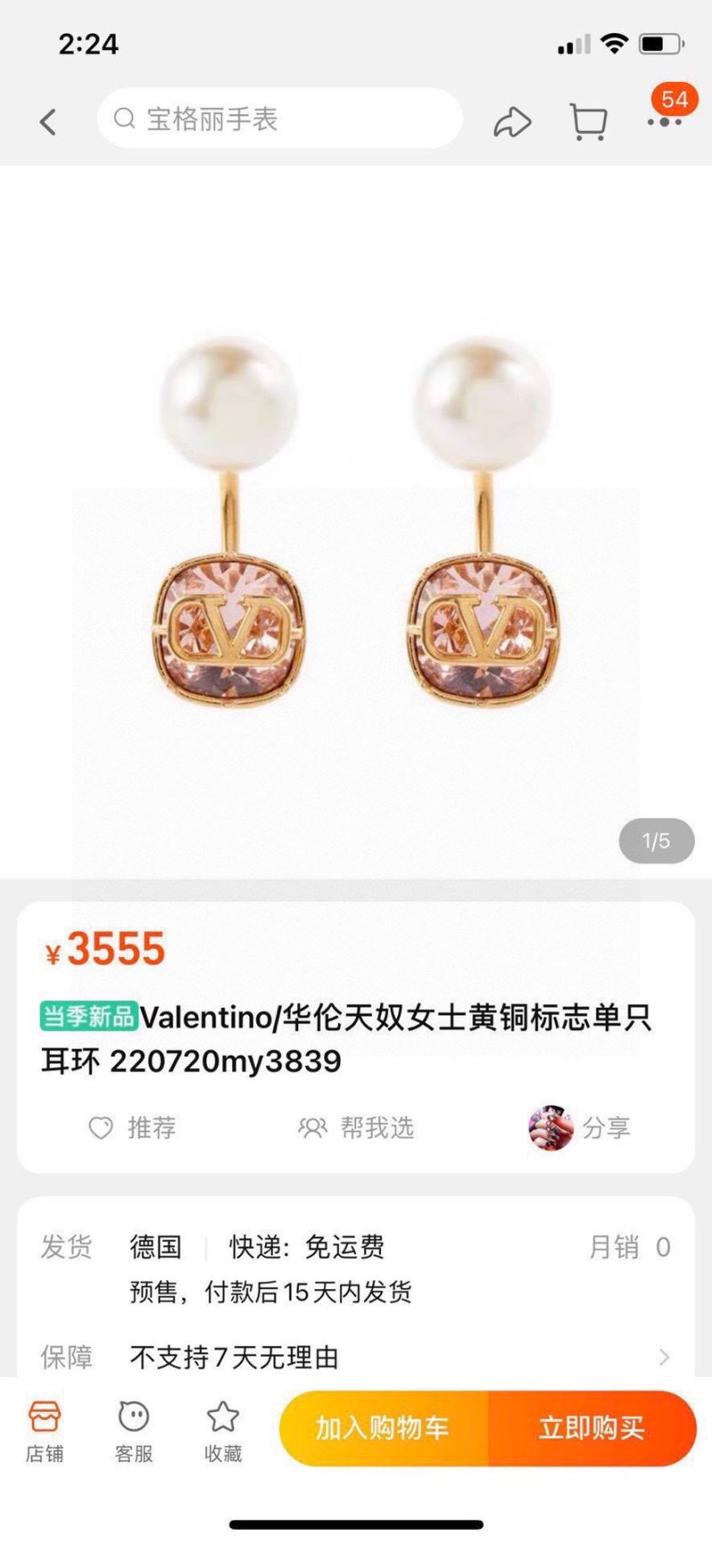 Valentino Earrings